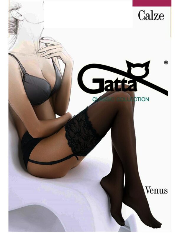 GATTA VENUS
